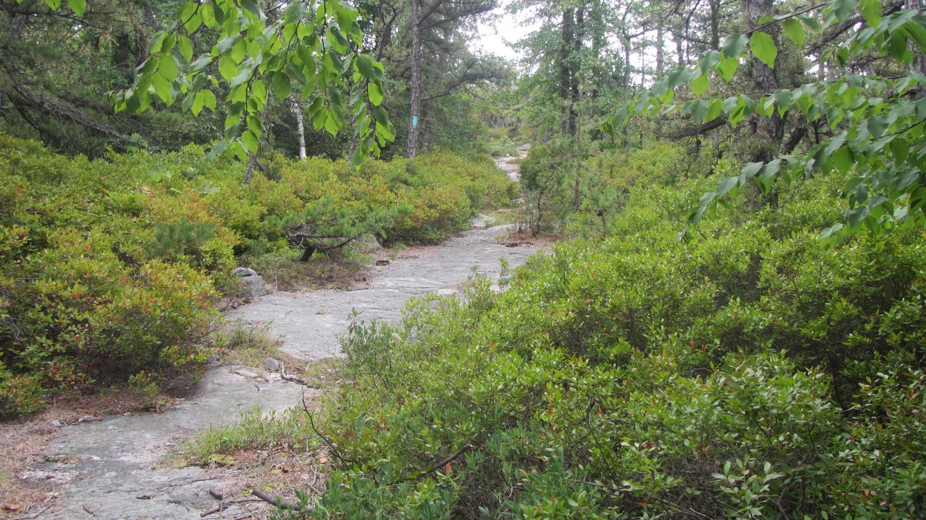 IMG_5822