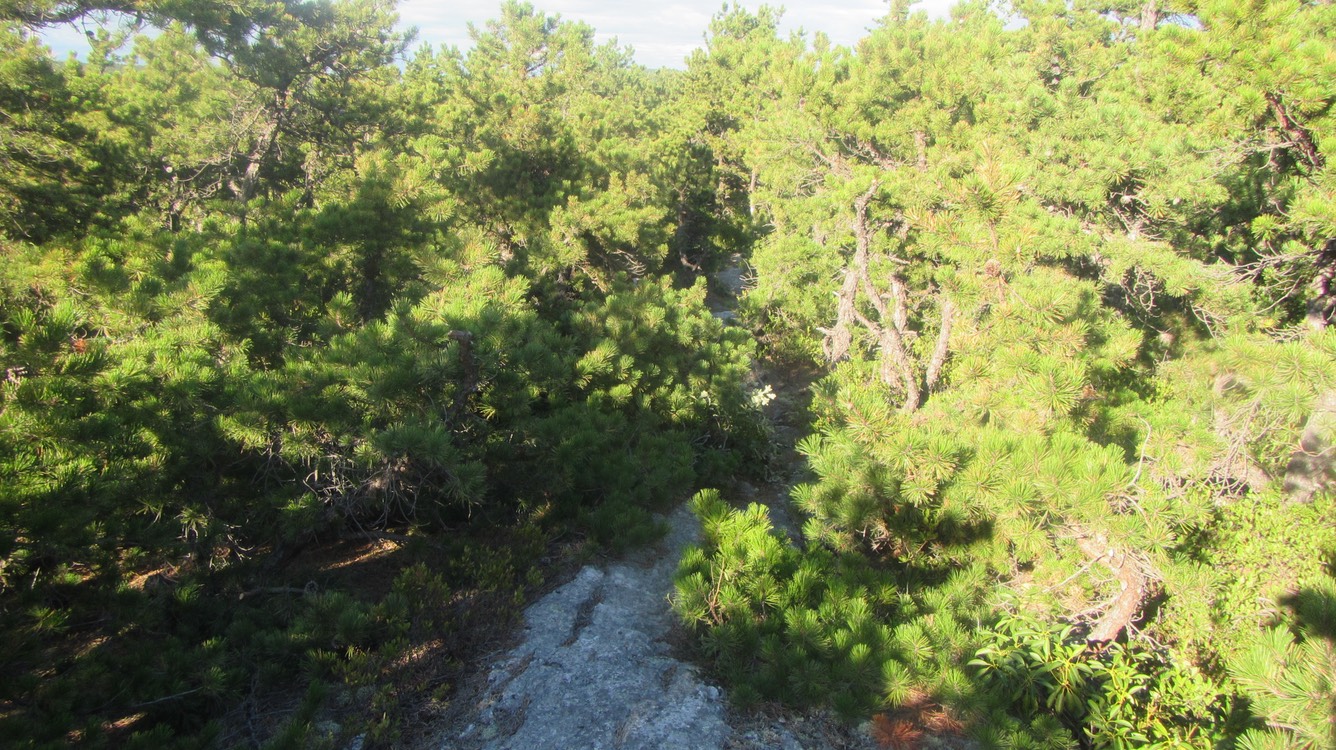 IMG_5887