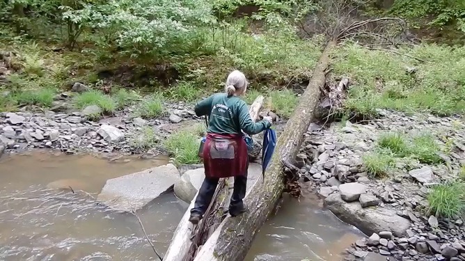 lois-stream-crossing-2