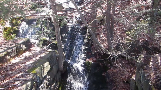 mvi_4464r